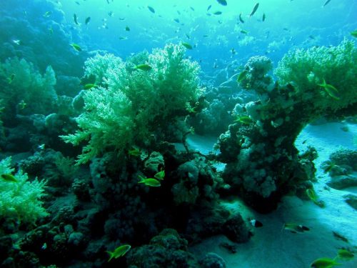 36a37b902db9f2bb1db51d36fd1bbe14