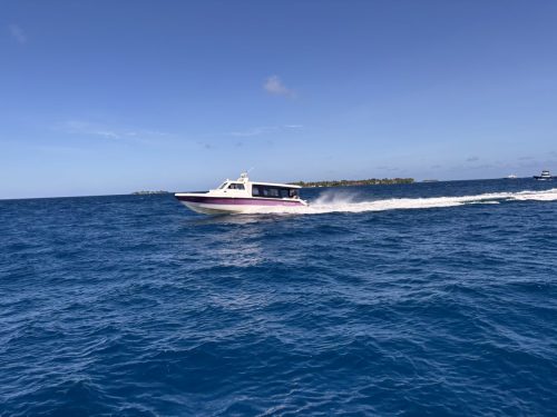 IMG 1753