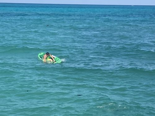 IMG 2856