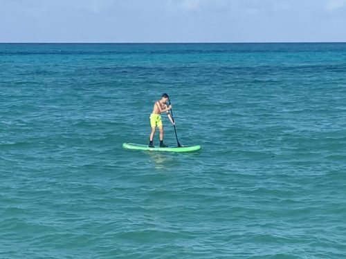IMG 2858
