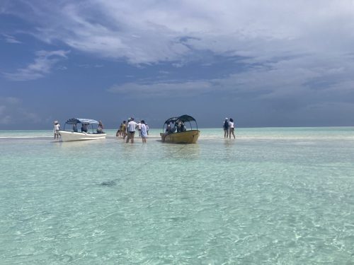 IMG 3064